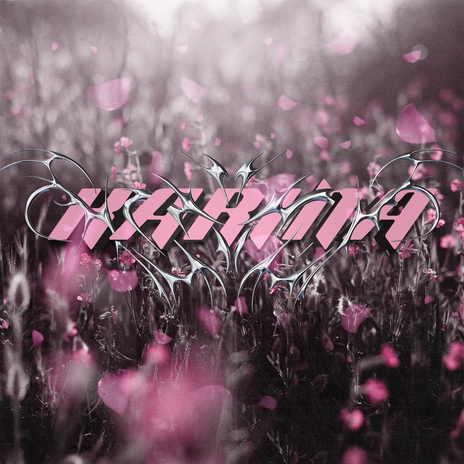 Karina launch visual variation